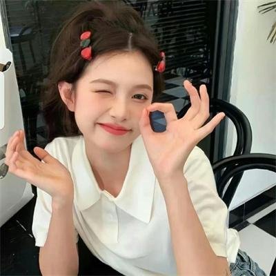 科搜研之女第23季